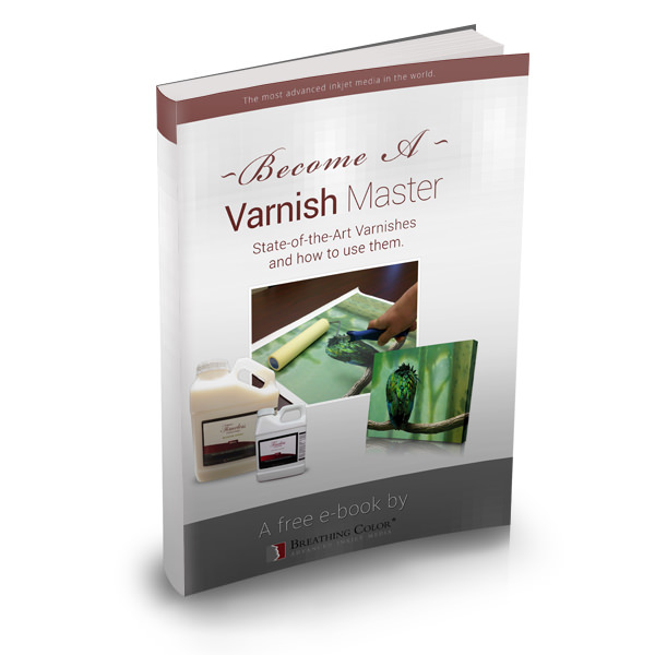 varnish-ebook